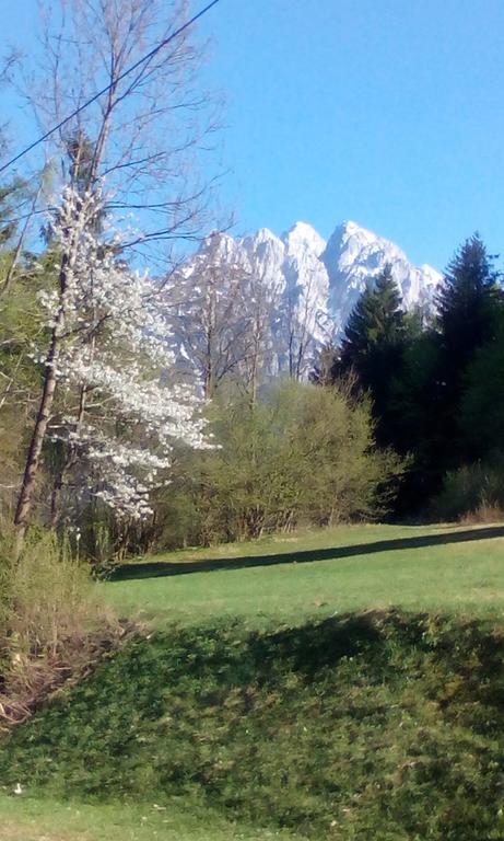 Apartments Grudnik Kranjska Gora Exteriör bild
